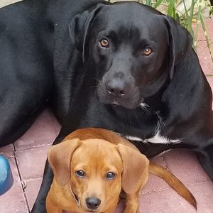 Meet your Posher, Everett